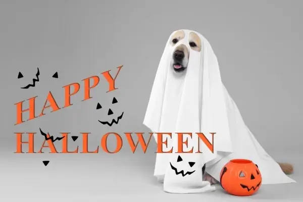 Happy Halloween from Minnesota Residential Mortgage, Inc.